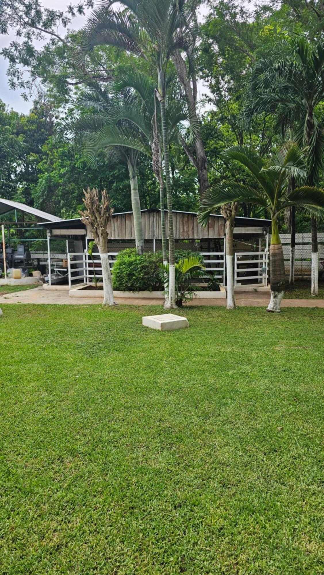 Hotel Los Cedros Uayamón Exterior foto