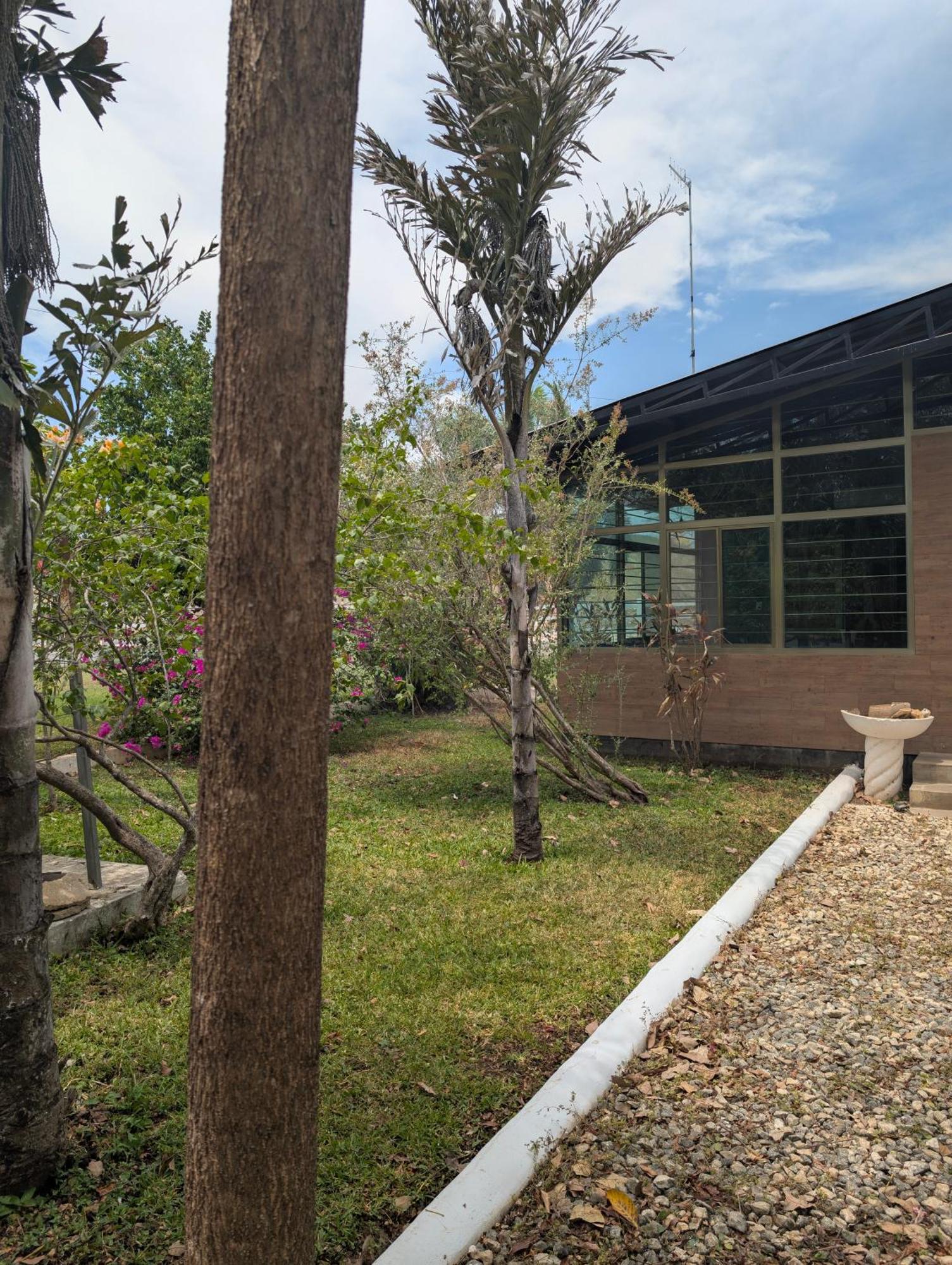 Hotel Los Cedros Uayamón Exterior foto