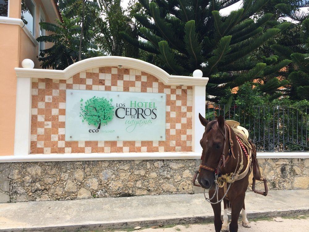 Hotel Los Cedros Uayamón Exterior foto
